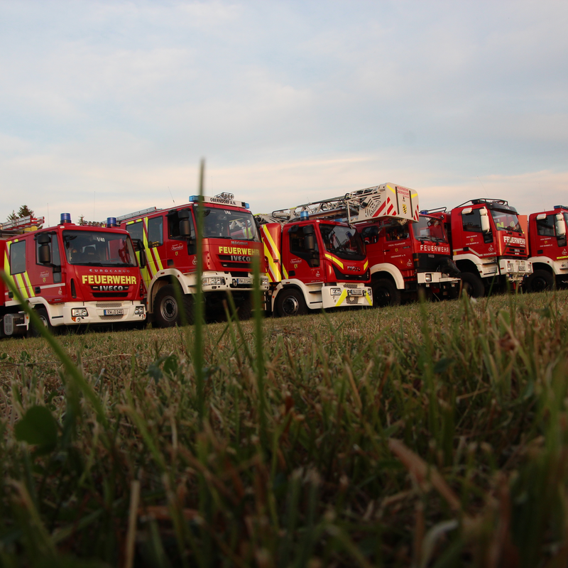 Sechs verschiedene Feuerwehrautos stehen nebeneinander aufgereiht auf einer Wiese. Perspektive aus der Seiten- und Vorderansicht. Alle sechs sind verschiedene Feuerwehrfahrzeuge. 