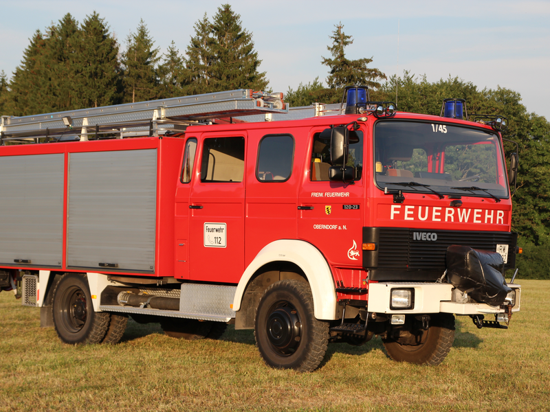 Feuerwehr-Löschfahrzeug steht auf einer Wiese mit Wald im Hintergrund. Löschfahrzeug mit zwei Rolltoren an der Seite und Leiter auf dem Dach. Auf der Frontscheibe steht Fahrzeugbezeichnung 1/45