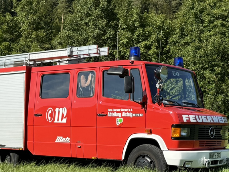 Löschfahrzeug Seitenansicht auf einer Wiese. Zwei Rolltore im hinteren Beriech. Leiter auf dem Dach. 