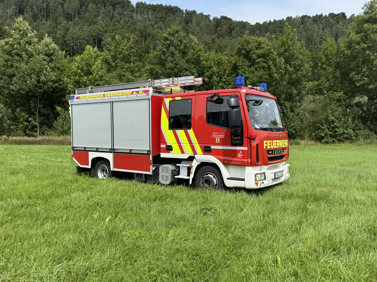 Feuerwehr-Löschfahrzeug steht auf einer Wiese. Zwei Rolltore an der Seite sind zu sehen wie eine Leiter auf dem Dach. Auf der Frontscheibe steht die Fahrzeugbezeichnung 1/45. 