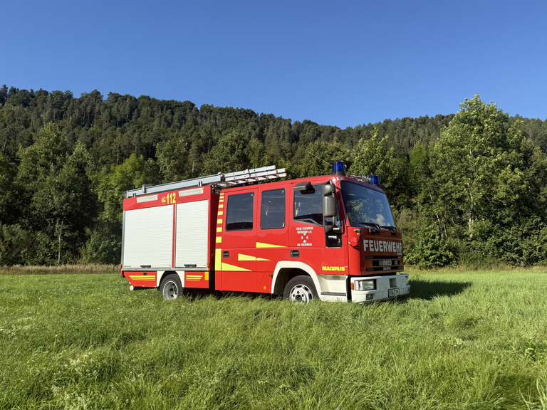 Löschfahrzeug Seitenansicht auf einer Wiese. Zwei Rolltore im hinteren Beriech. Leiter auf dem Dach. 