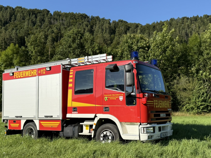 Löschfahrzeug Seitenansicht auf einer Wiese. Zwei Rolltore im hinteren Beriech. Leiter auf dem Dach. 