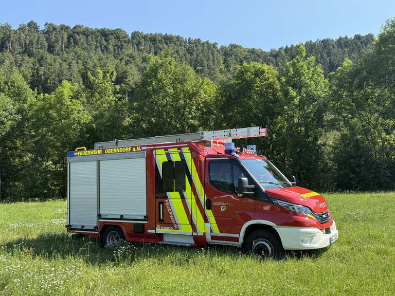Löschfahrzeug Seitenansicht auf einer Wiese. Zwei Rolltore im hinteren Beriech. Leiter auf dem Dach. 