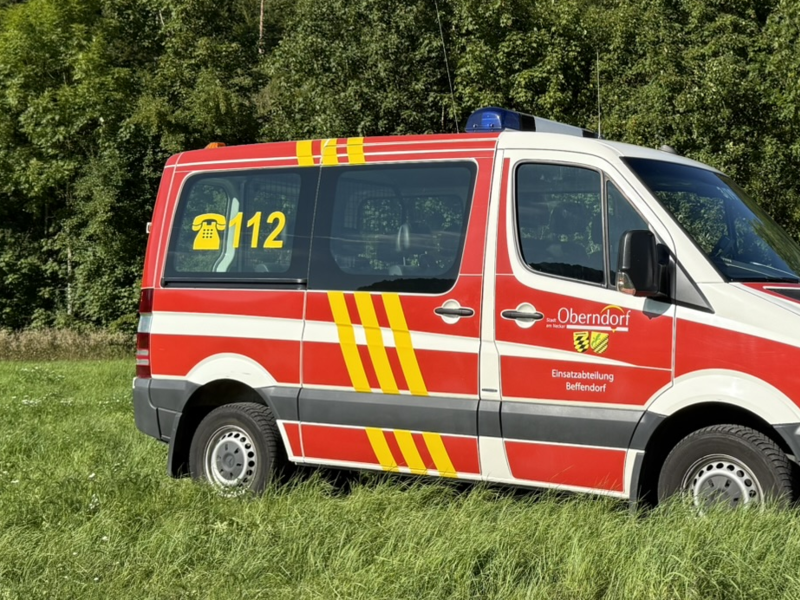 Personentransporter welcher rot, weiss, gelb in Feuerwehroptik lakiert ist. Seitenansicht auf einer Wiese im Hintergrund ist Wald zu sehen.