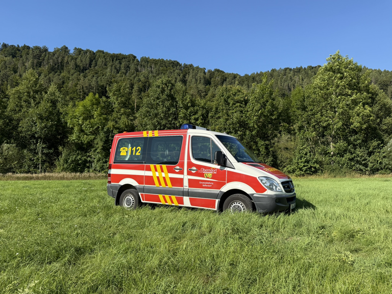 Personentransporter welcher rot, weiss, gelb in Feuerwehroptik lakiert ist. Seitenansicht auf einer Wiese im Hintergrund ist Wald zu sehen.