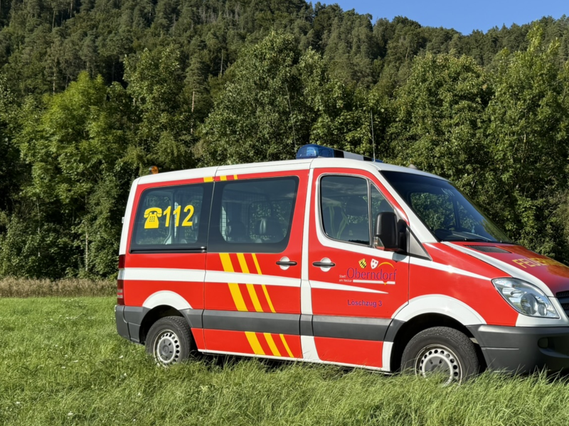 Personentransporter welcher rot, weiss, gelb in Feuerwehroptik lakiert ist. Seitenansicht auf einer Wiese im Hintergrund ist Wald zu sehen.